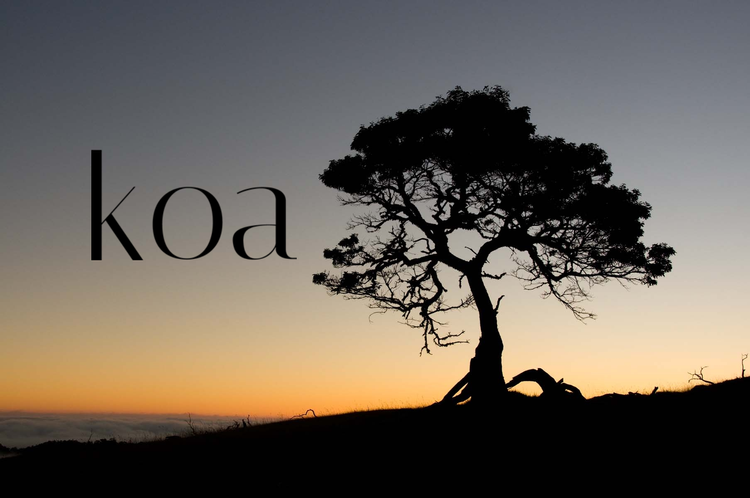 Аутсорсинг или заказная разработка на Koa.js