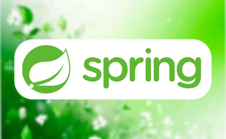 Аутсорсинг или заказная разработка на Spring